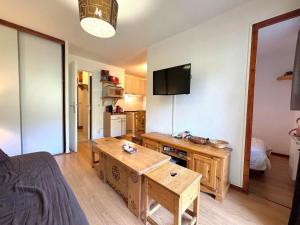 Appartement cosy avec accès aux pistes, animaux admis - FR-1-452-46