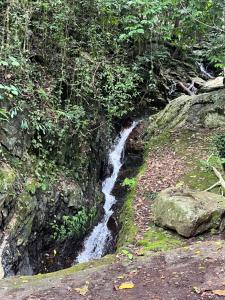 Bulloo Lagoon Oasis Luxury Resort