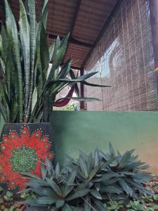 Recanto BantuArte-Boipeba