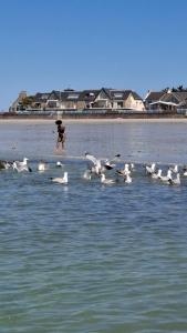 Cocooning house with sea view for 5 people, 3 beds