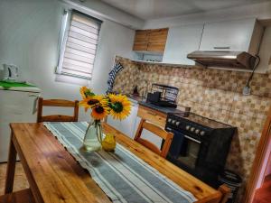 Apartman Dunav Plus deveti oktobar 22