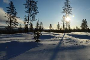 15 - Fulufjellets nasjonalparker - snø - alpint - langrenn - snøscooter