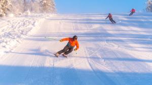 15 - Fulufjellets nasjonalparker - snø - alpint - langrenn - snøscooter