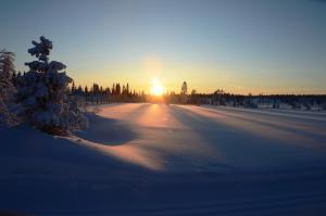 15 - Fulufjellets nasjonalparker - snø - alpint - langrenn - snøscooter