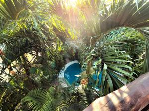 La Veleta Villa Getaway with Pool, Garden and Downtown Access