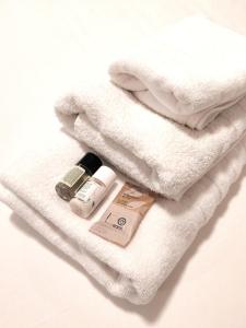 Elegant Studio at Vatican Museum