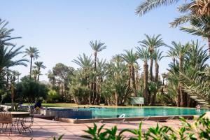 Palmeraie Tradition and Modernity