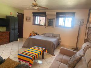 Brisa Suave Studio Suite