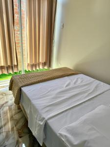 Casa con piscina en Tingo María