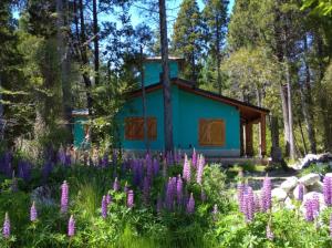 Ranel Bolsón - Ubytování bez kategorie ve městě El Bolsón