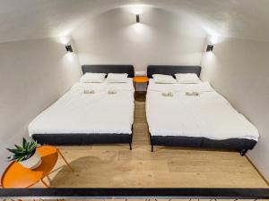 New Modern Art Loft Apartment, City Center