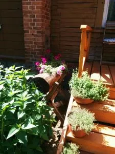 Viesu Nams Vilhelmīne - Maļļi