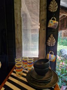 Rainforest Paradise 3