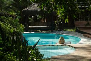 Rainforest Paradise 3