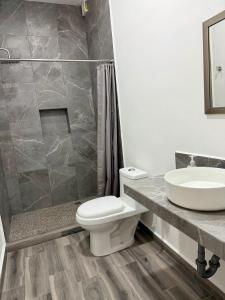 Lofts en Colonia Tec