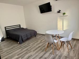 Lofts en Colonia Tec