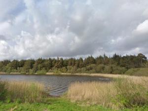 6 person holiday home in Thisted-By Traum