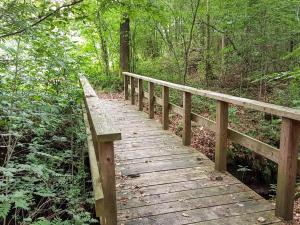 Modern Cottage Oasis in Arrild-By Traum