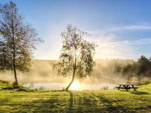 Modern Cottage Oasis in Arrild-By Traum