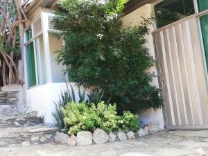 IronHouse Taganga Apartasuite