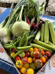 森のうた Morinouta Forest Stay in Nikko