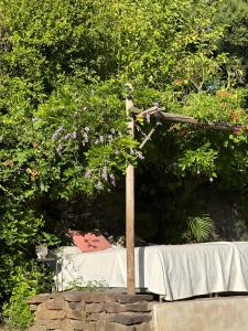 Finca El Búho Oak Natural Park