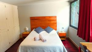 Terraza & Loft San Ángel