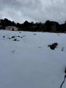 Cabaña rivera del Captrén