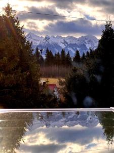 Czarna Montana Apartment