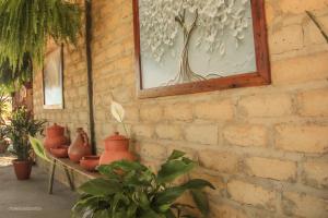 Casa Borba Chalé com piscina