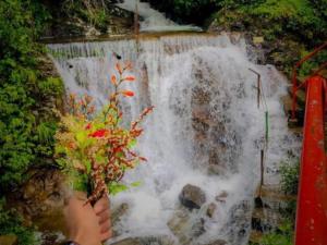 Dilani Adamspeak RiverStay