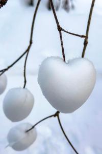 豆の家Beanz House