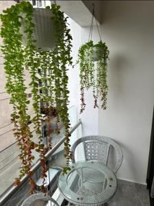 Comfort Cove - One bedroom Apartment in Kilimani, Nairobi