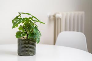 Design Flat with Terrace at 10 min San Siro Stadium