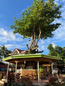 Terrasse Beach Resort