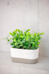 CHILLIapartamenty - Bliżej Morza - HYGGE