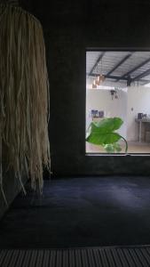 Pura Vida - General Luna