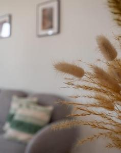 Charming B&B in the City Center of Bruges