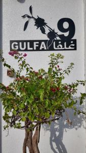 Gulfa 9