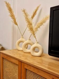 Tranquil Condo in Zamalek