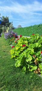 havuzlu taş yapı kiralık villa