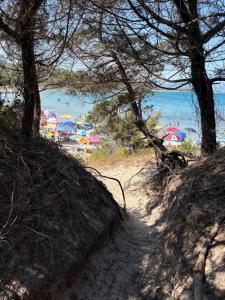 Cala Ginepro Tortoli img22