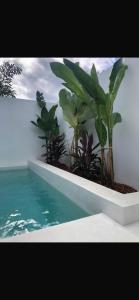 Mini villa premium et sa piscine privée 2