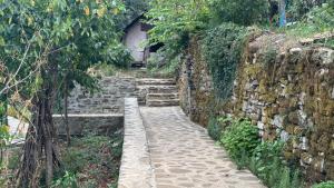 GUEST HOUSE FELAU,Leusë