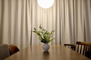 Hongdae Sinchon Aestetic House, STAY NUA