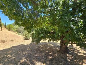 The Alhambra Retreat Gated Spacious Private