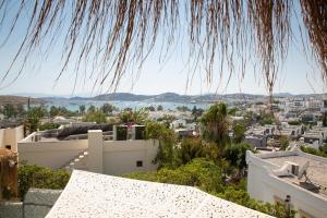 3Bedroom Villa with Pool and Sea Wıew in Bodrum BD447