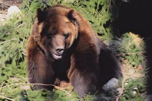 Haus Margot Armbruster