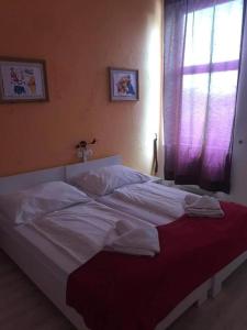 Y Panzió Party Rooms