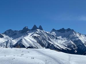 STUDIO 4 OU 6 personnes pieds des pistes et remontées mécaniques